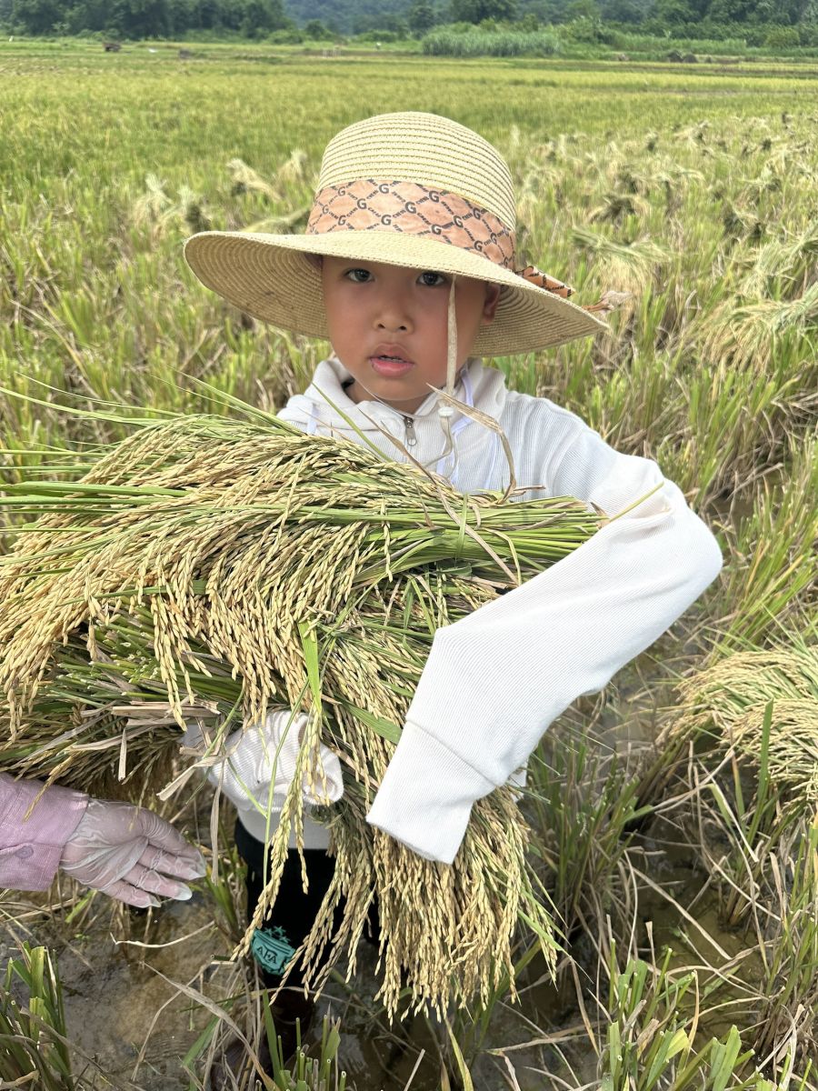 VỤ MÙA CỦA NGƯỜI DÂN TỘC TẠI HOÀ BÌNH 